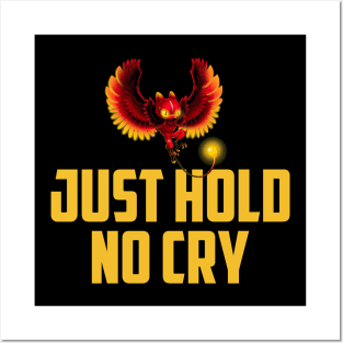 Radio Caca Just Hold No Cry Posters and Art